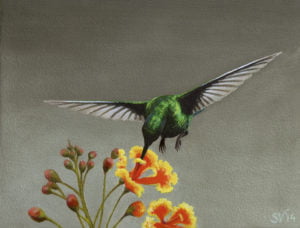 kolibri-1-15x20cm-oil-paint-on-panel