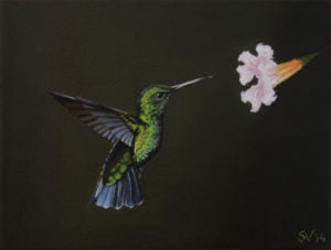 kolibri-2-15x20cm-oil-paint-on-panel