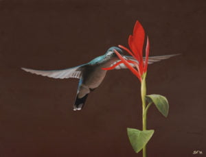 kolibri-4-30x40cm-oil-paint-on-panel