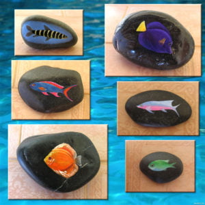 vissen-mrt-2014-water