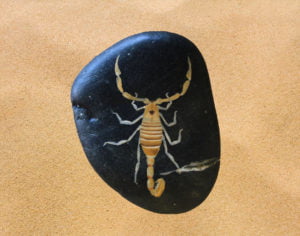 scorpion-sand